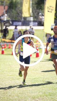 BIB:  <button type="button" onclick="openModal(26587062)" class="btn btn-primary btn-sm float-right" data-toggle="modal" data-target=".modal-high-quality">
                <i class="fa fa-download"></i> Download
                </button>